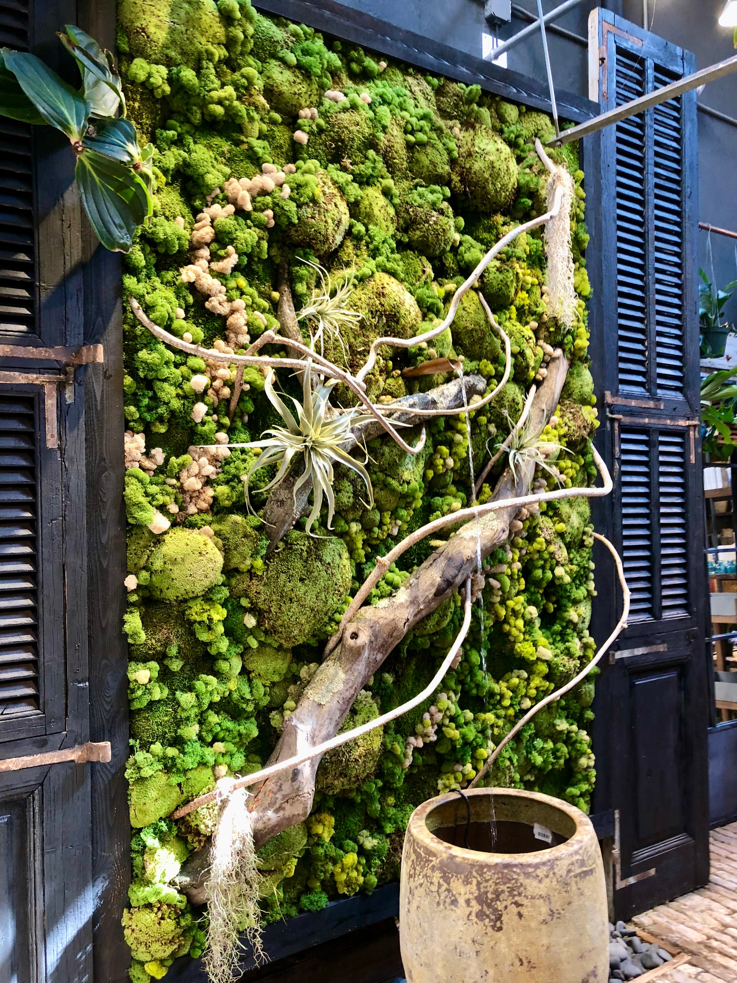 Moss wall with a decorative branch and a pot in front, against a dark wooden shuttered background.