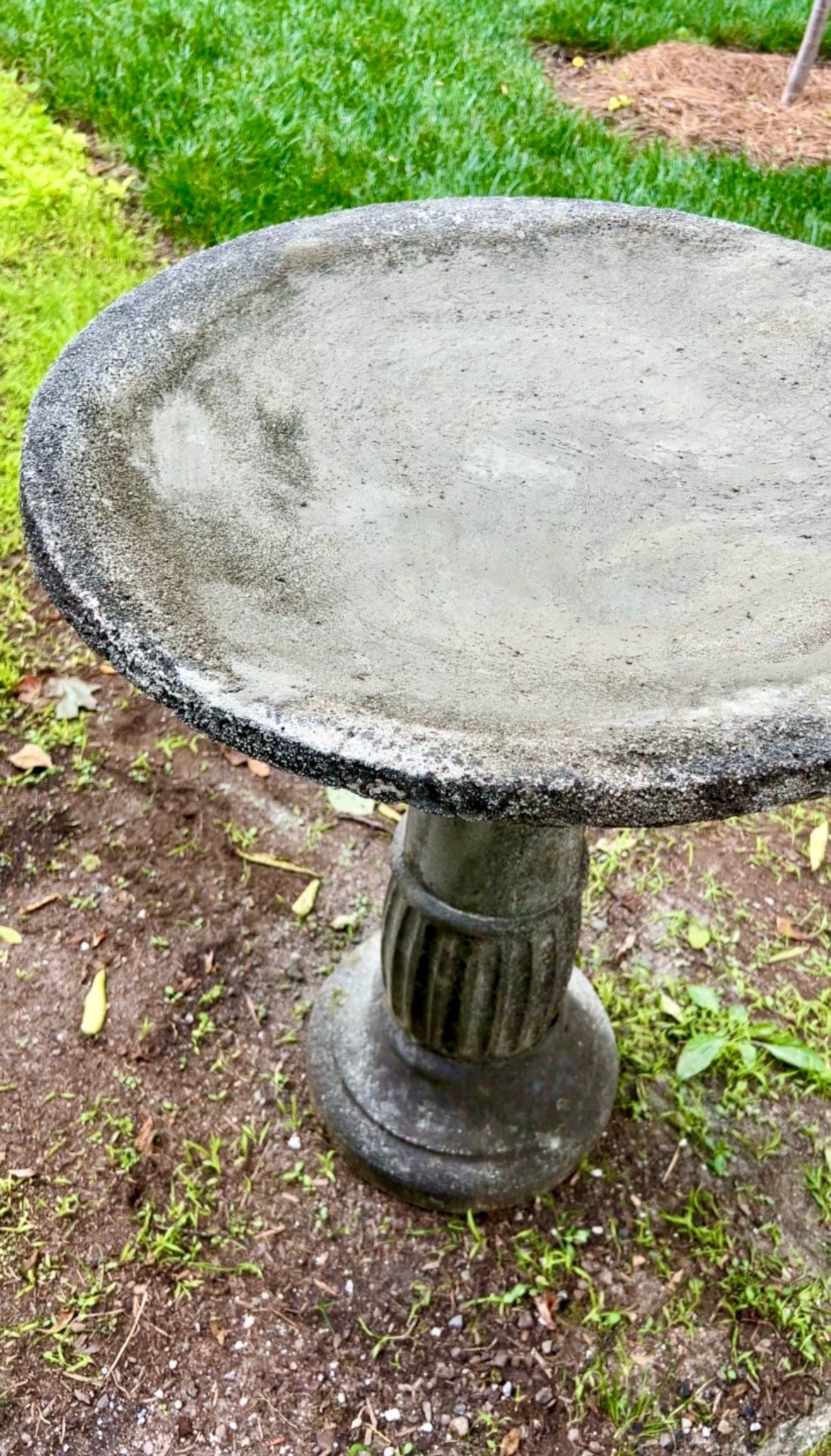 Concrete bird bath on a grassy and dirt-covered ground