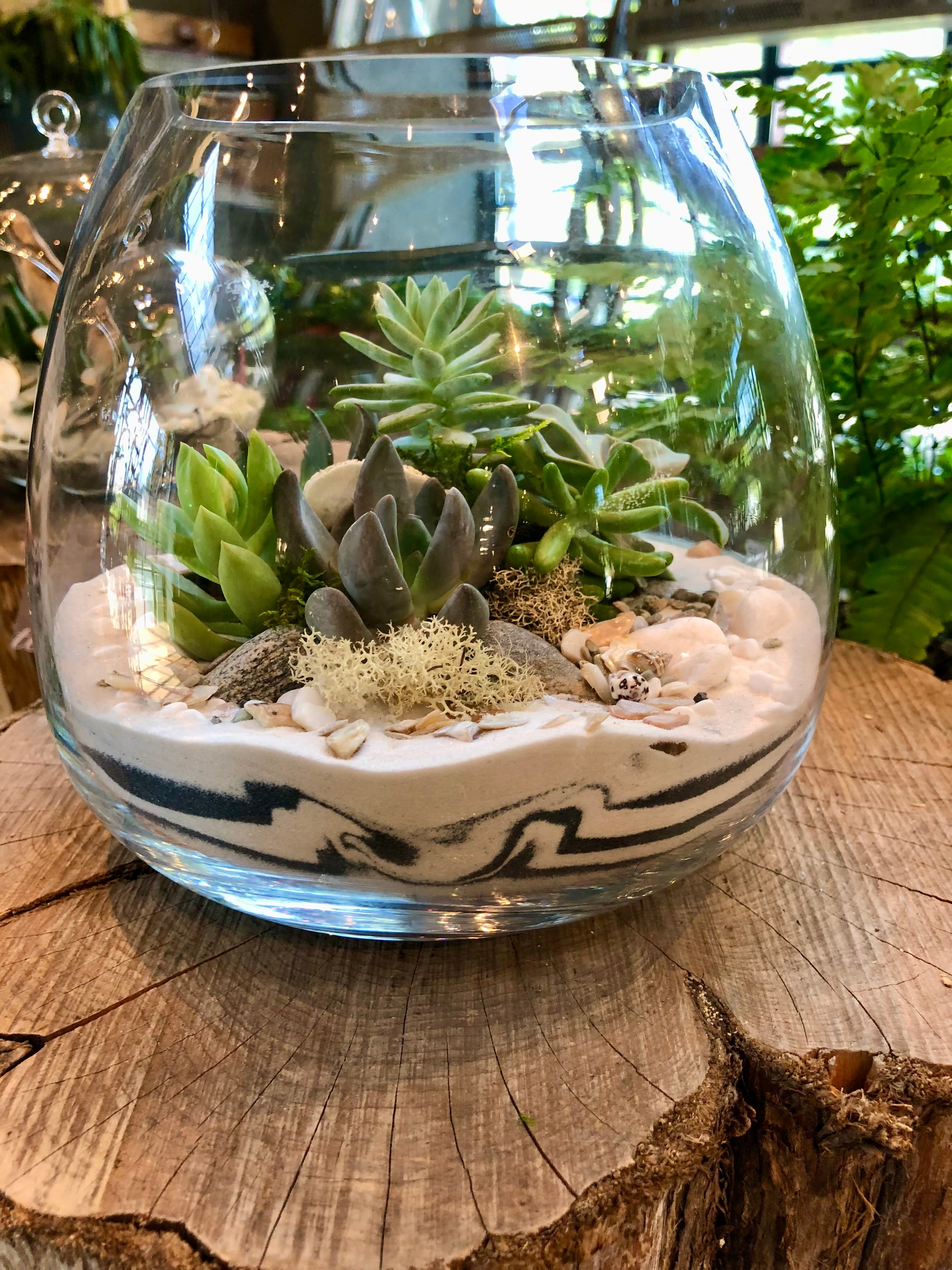 Glass terrarium with succulents and pebbles on a wooden surface