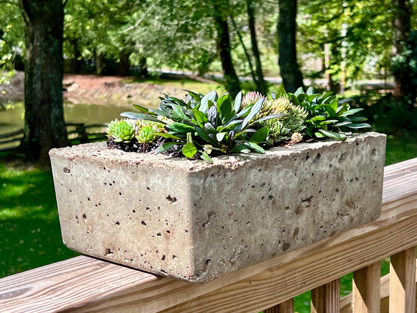 Concrete planter box with succulents on a wooden deck with a natural background
