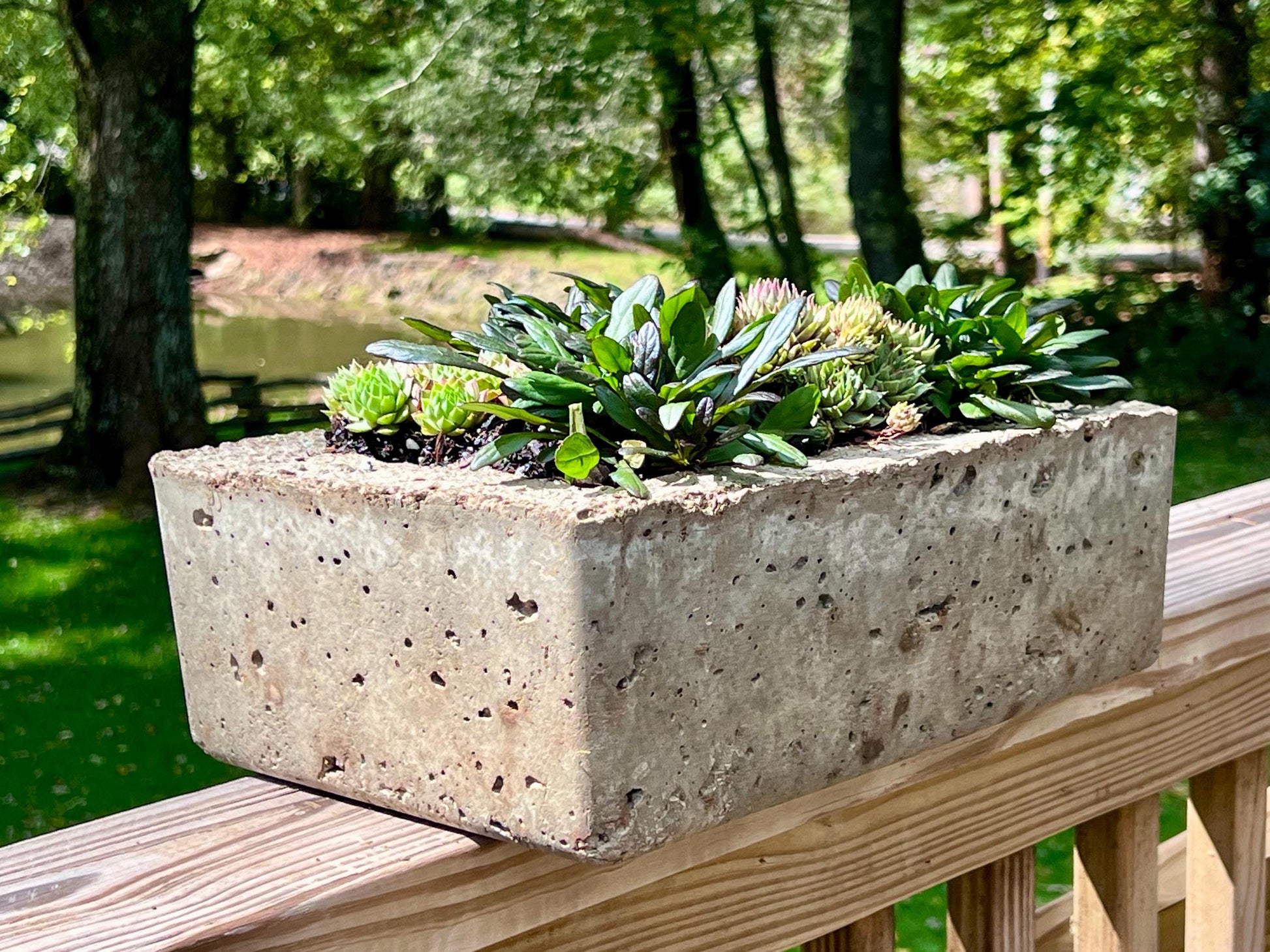 Concrete planter box with succulents on a wooden deck with a natural background